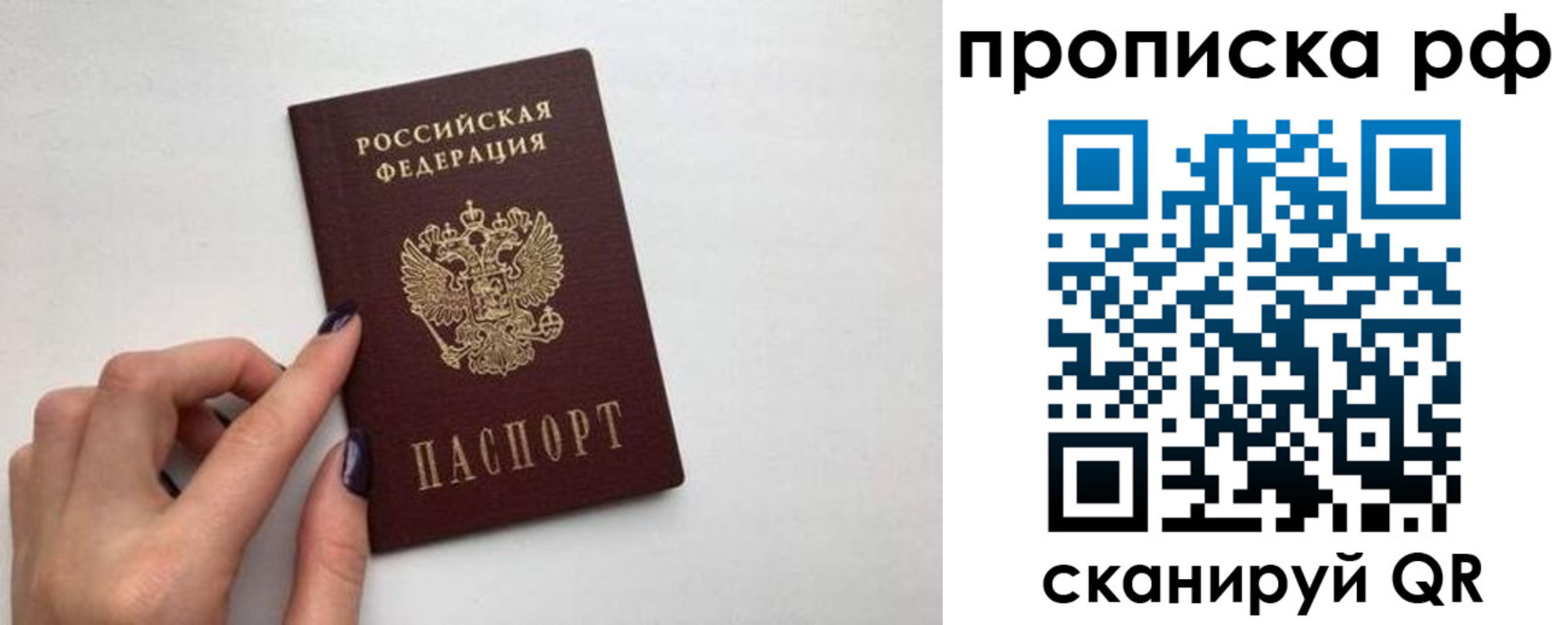 прописка в квартире в Шлиссельбурге